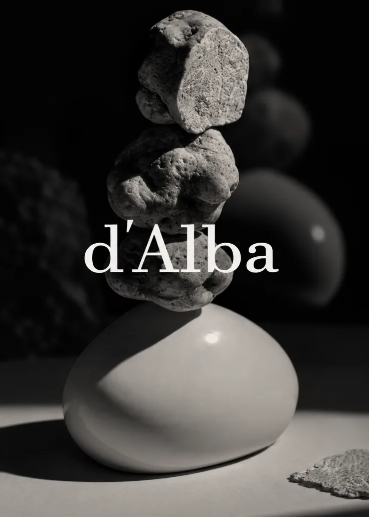 d'Alba 프로젝트